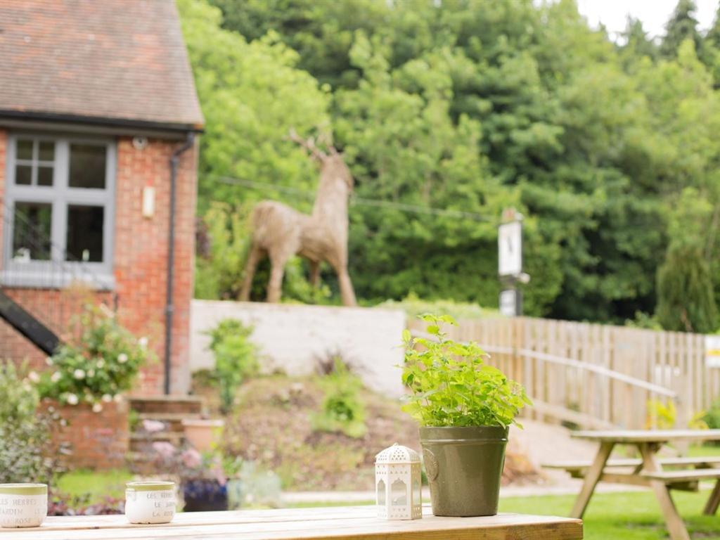 The Roebuck Inn Shedfield Dış mekan fotoğraf